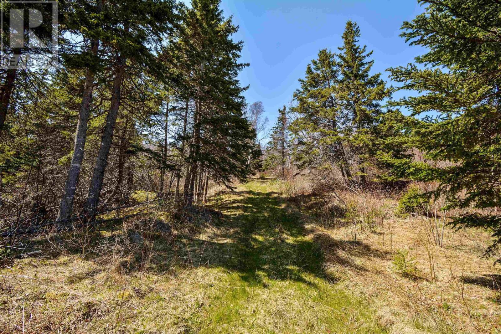 Kempt Head Road, Boularderie, Nova Scotia  B1Y 2P8 - Photo 47 - 202406715