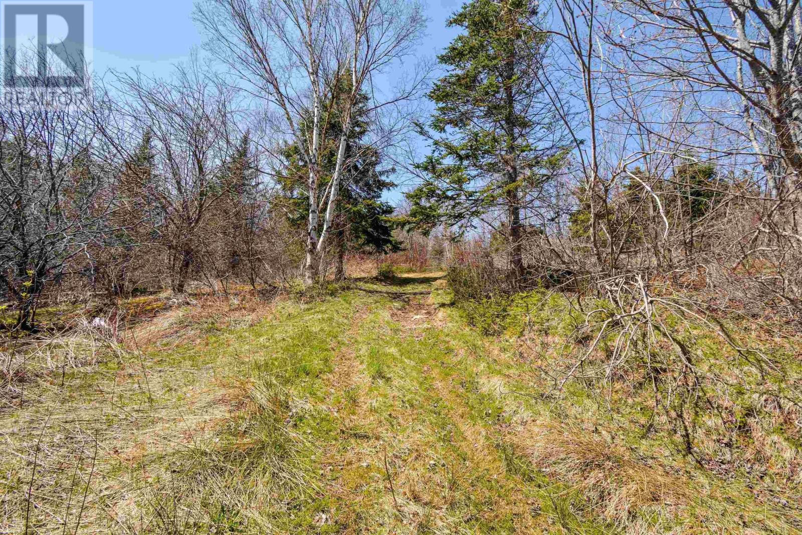 Kempt Head Road, Boularderie, Nova Scotia  B1Y 2P8 - Photo 48 - 202406715
