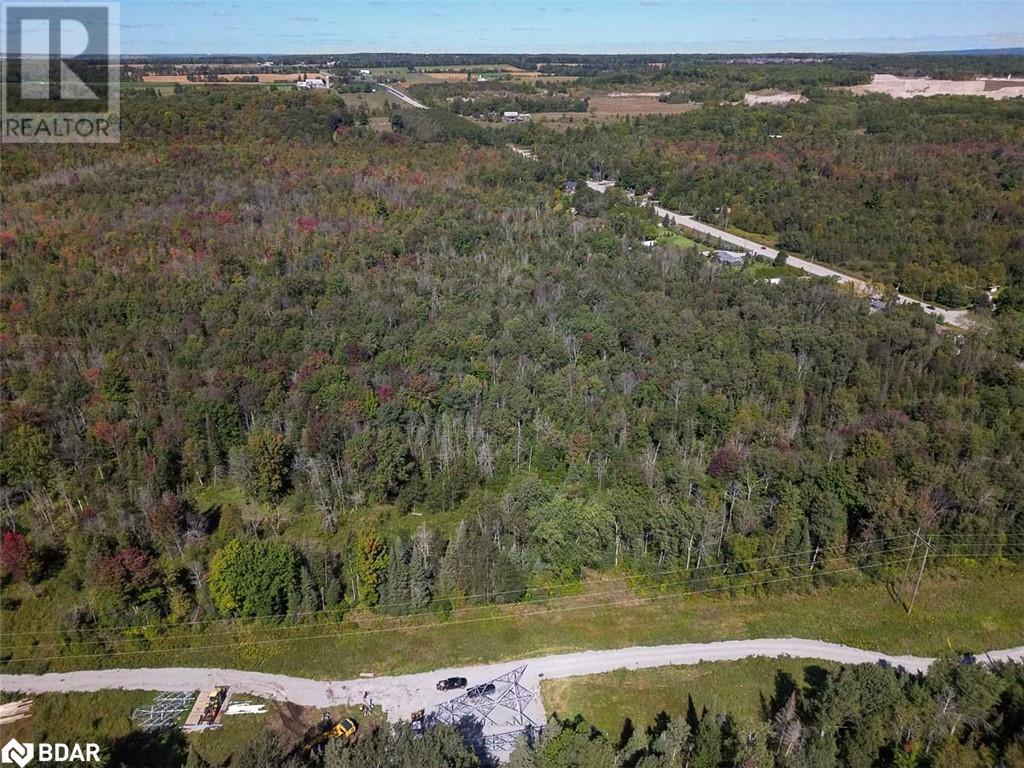 3828 George Johnston Road, Springwater, Ontario  L4M 4S4 - Photo 50 - 40487246