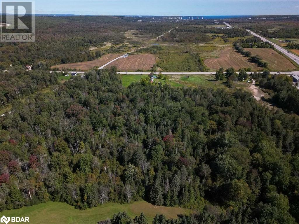 3828 George Johnston Road, Springwater, Ontario  L4M 4S4 - Photo 42 - 40487246