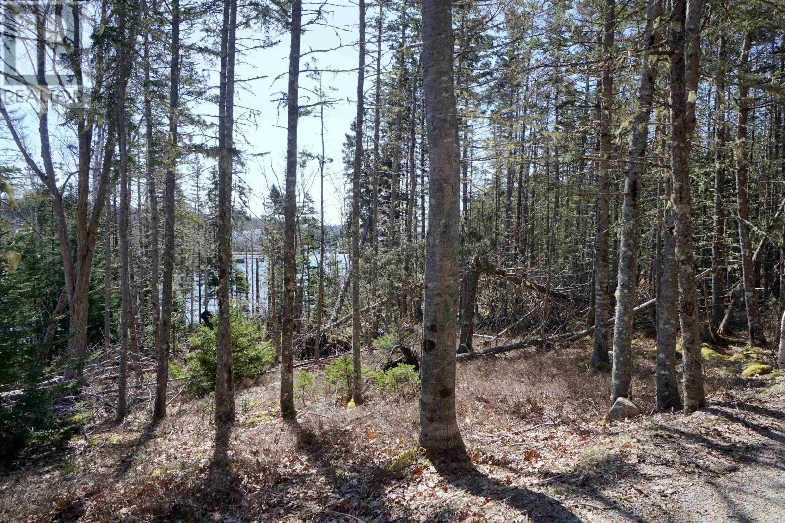 Lot 2-E Half Moon Cove, Marriotts Cove, Nova Scotia  B0J 1K0 - Photo 2 - 202406734