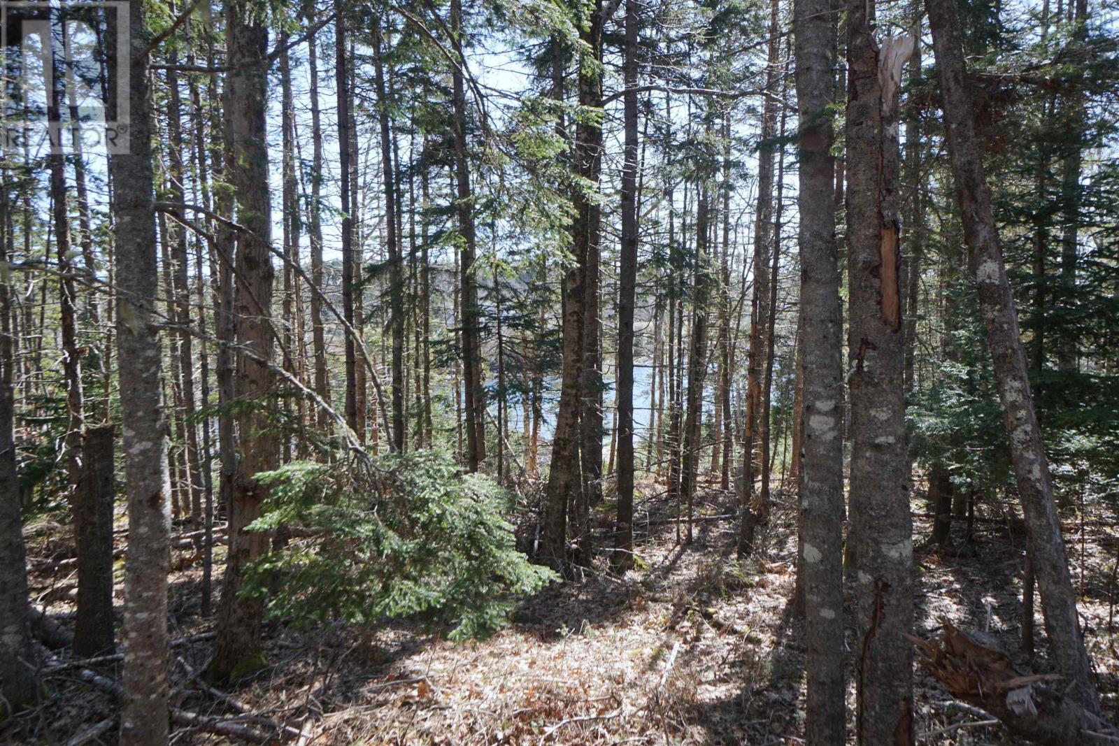Lot 2-E Half Moon Cove, Marriotts Cove, Nova Scotia  B0J 1K0 - Photo 3 - 202406734