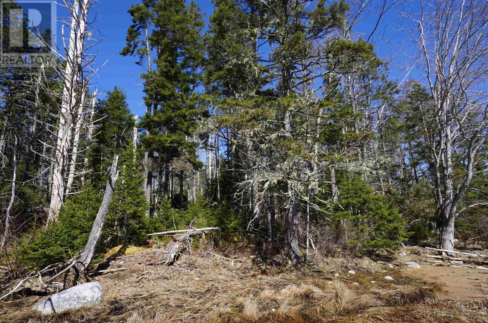 Lot 2-E Half Moon Cove, Marriotts Cove, Nova Scotia  B0J 1K0 - Photo 4 - 202406734