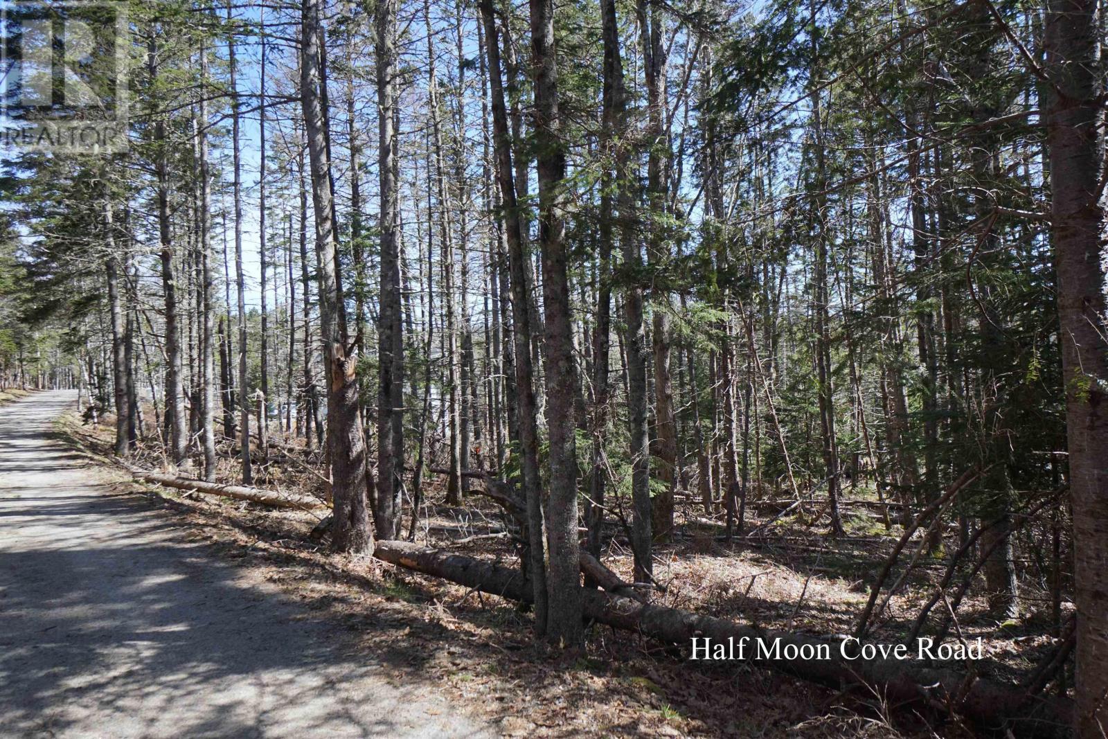 Lot 2-E Half Moon Cove, Marriotts Cove, Nova Scotia  B0J 1K0 - Photo 5 - 202406734