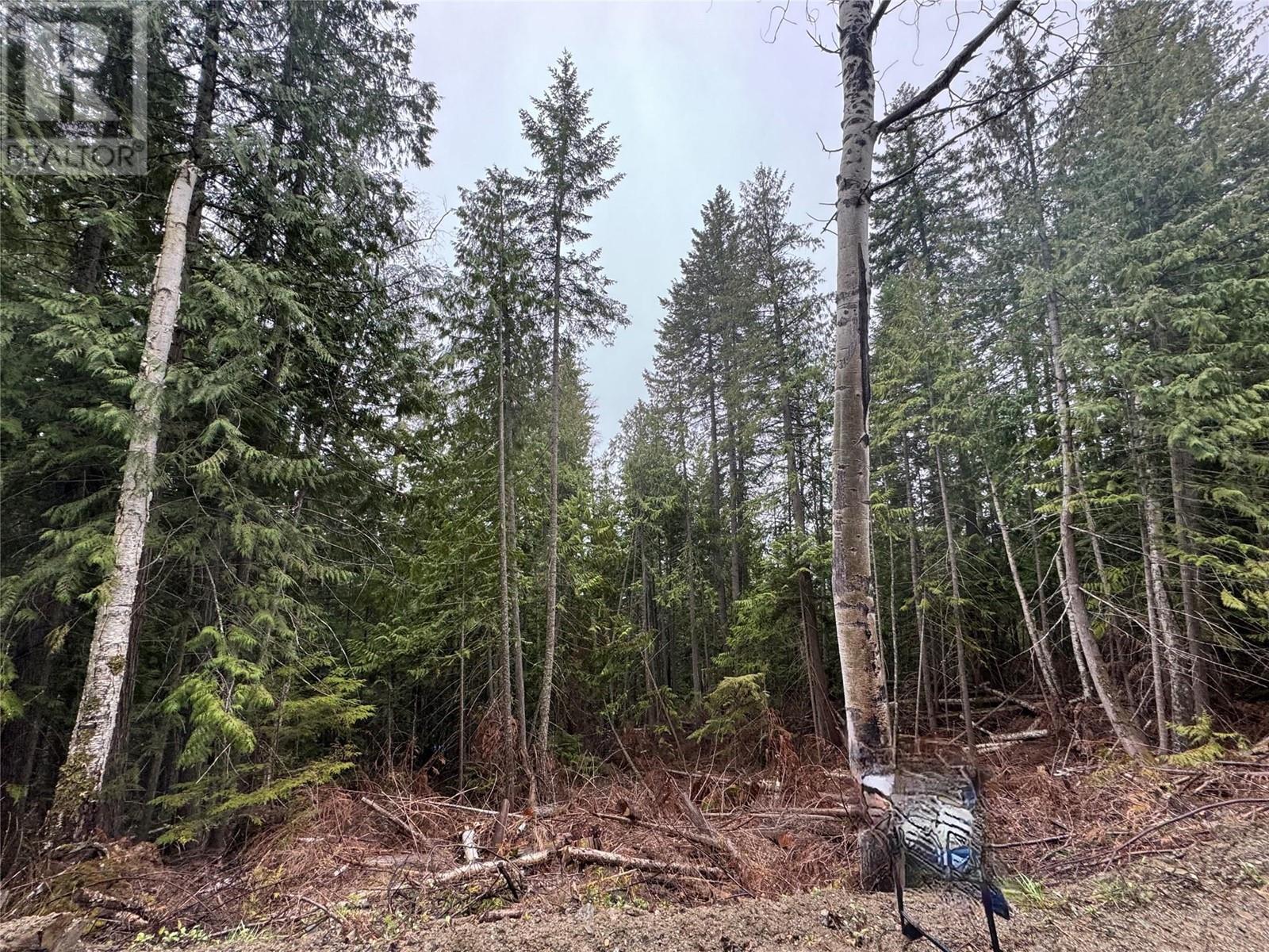 2816 Vickers Trail, Anglemont, British Columbia  V0E 1M8 - Photo 5 - 10309399