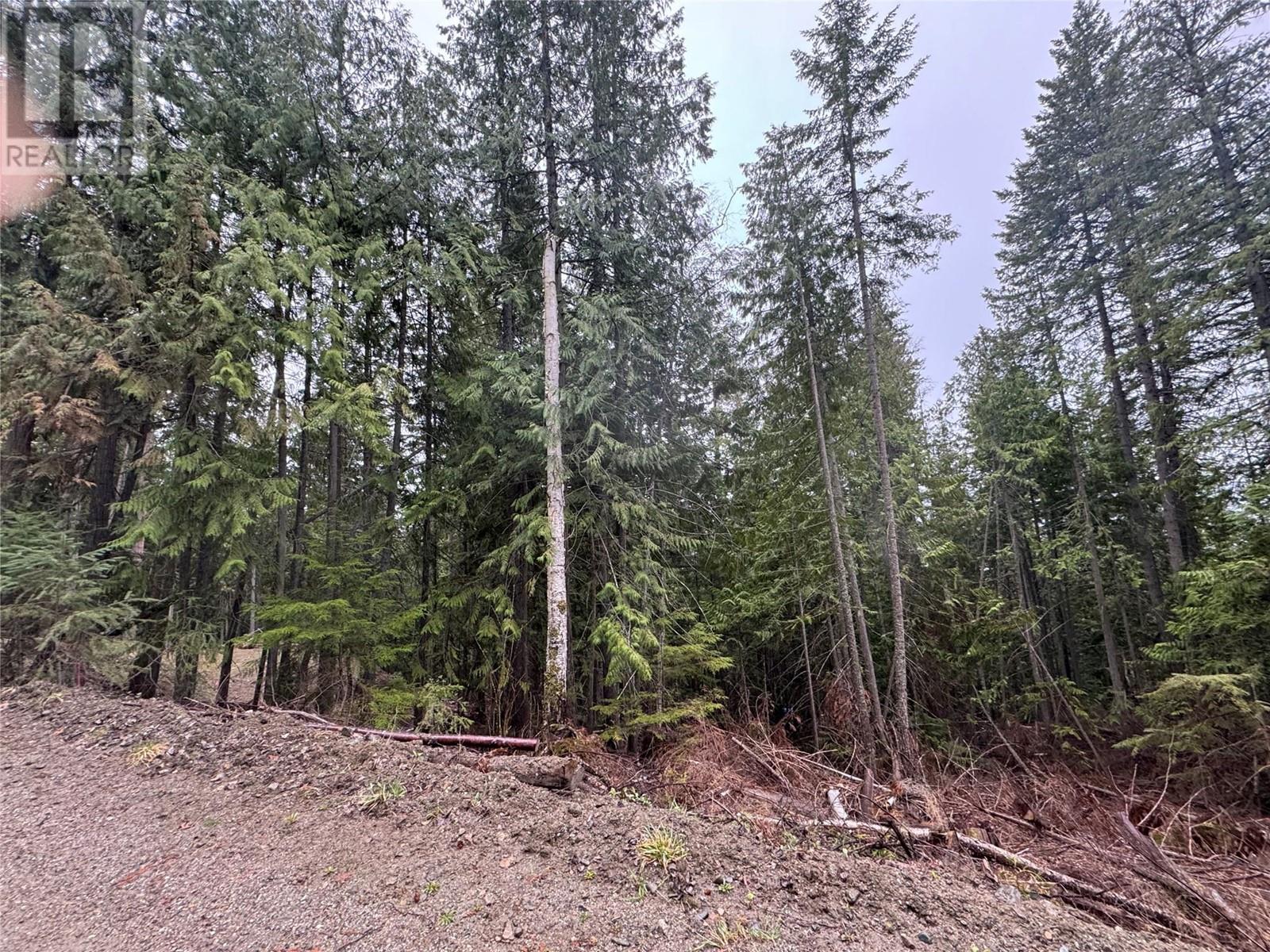 2816 Vickers Trail, Anglemont, British Columbia  V0E 1M8 - Photo 6 - 10309399