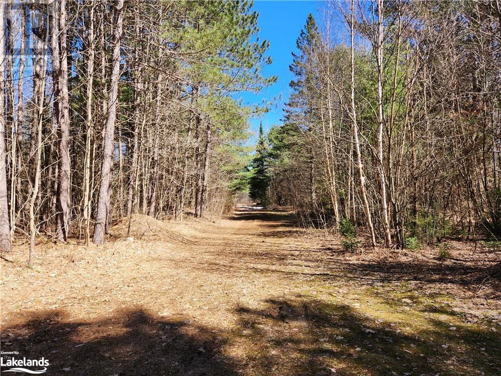 2189 Buckslide Road, Algonquin Highlands, Ontario  K0M 1S0 - Photo 14 - 40569610