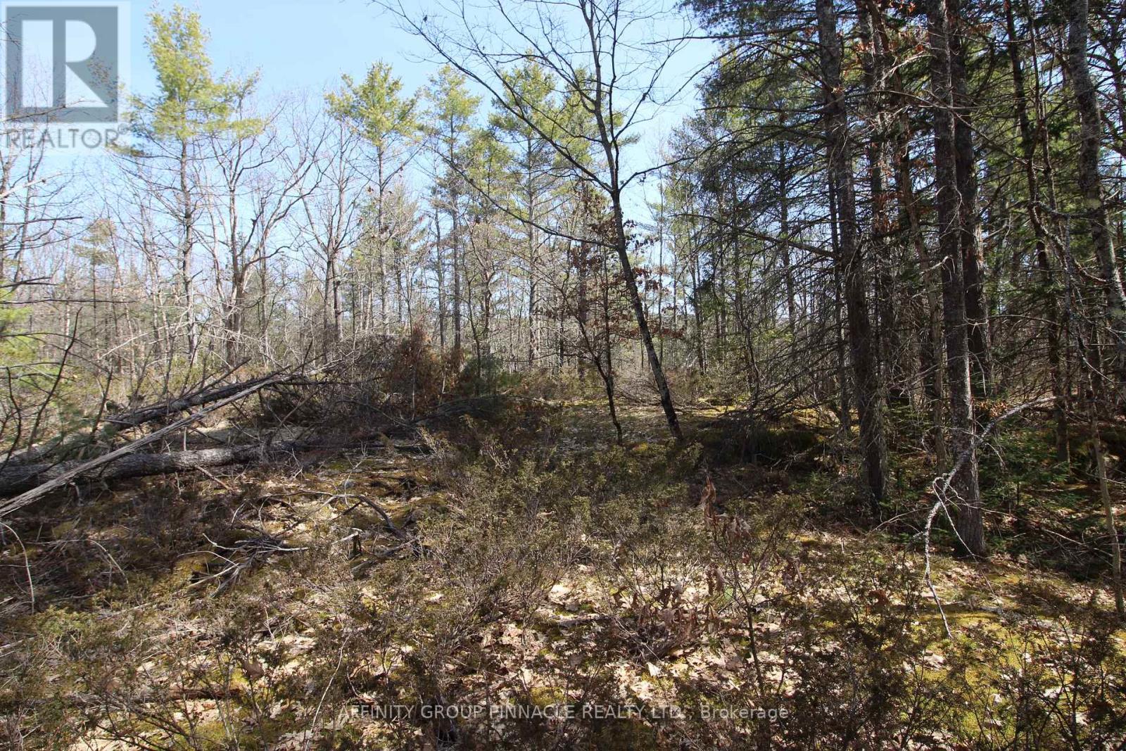 Lot 15 Concession 9, Galway-Cavendish And Harvey, Ontario  K0L 1J0 - Photo 13 - X8221332