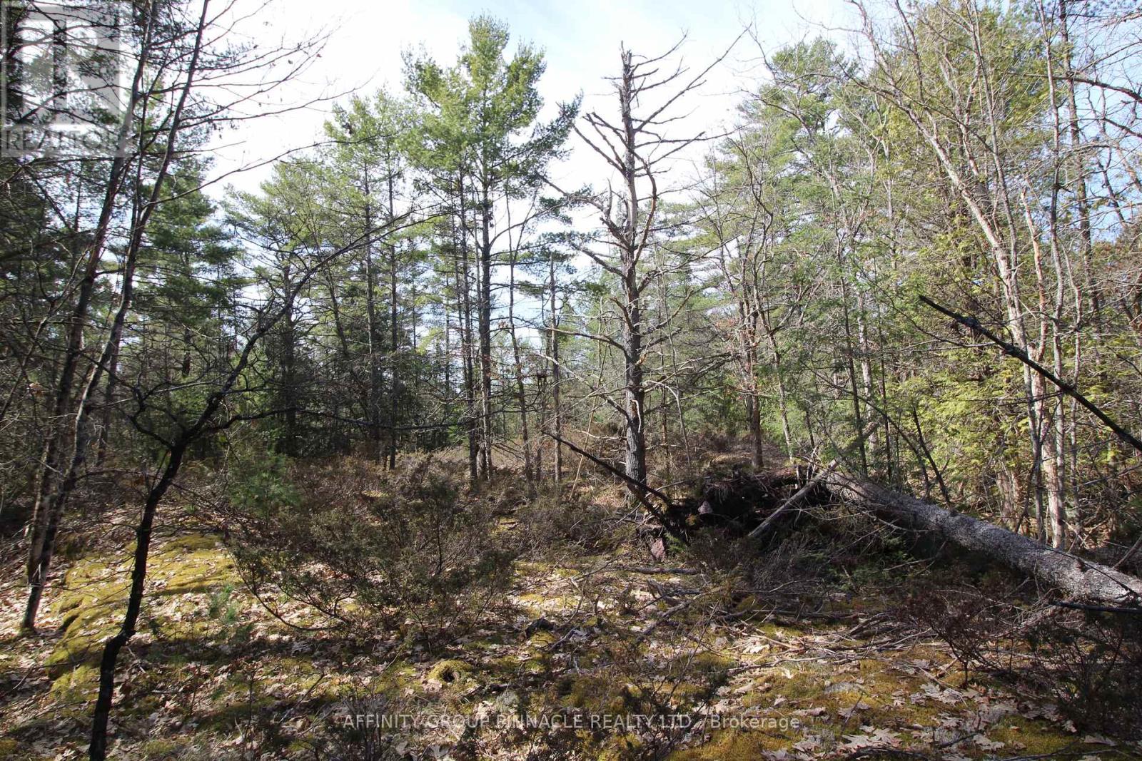 Lot 15 Concession 9, Galway-Cavendish And Harvey, Ontario  K0L 1J0 - Photo 14 - X8221332