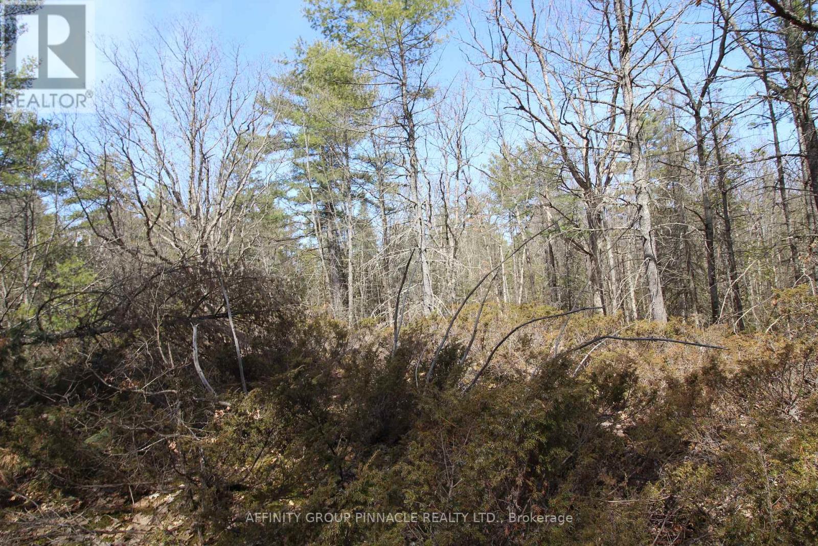 Lot 15 Concession 9, Galway-Cavendish And Harvey, Ontario  K0L 1J0 - Photo 15 - X8221332