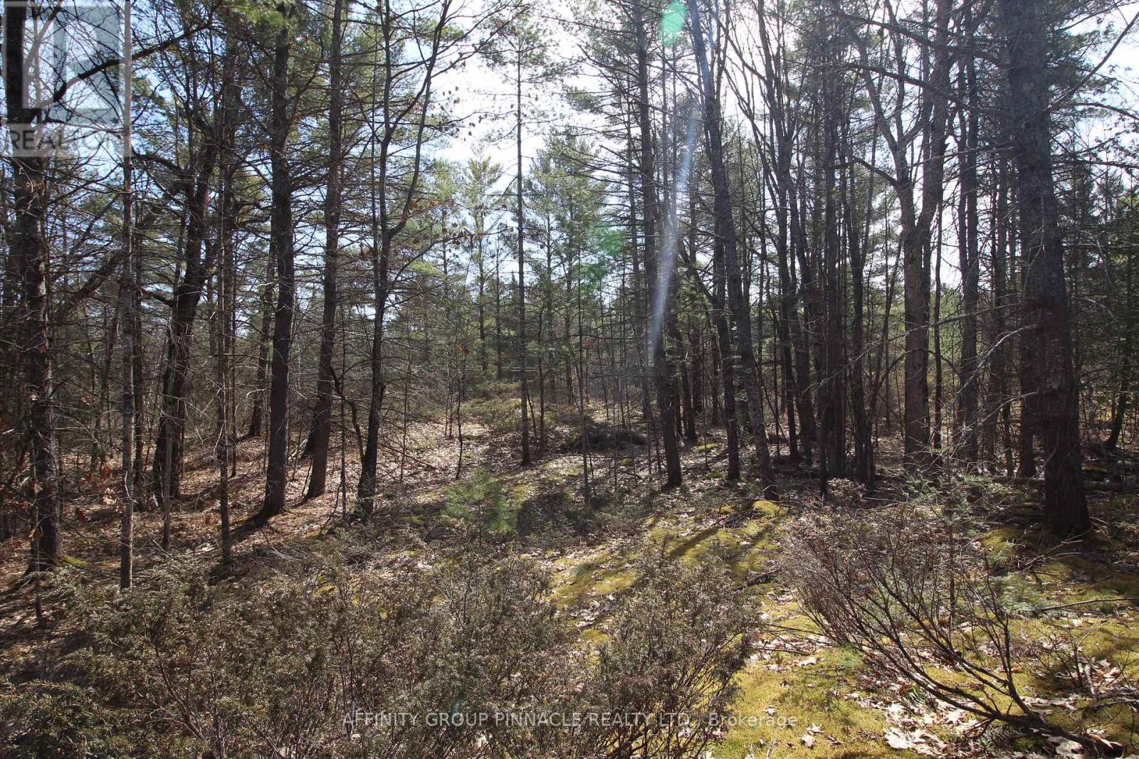Lot 15 Concession 9, Galway-Cavendish And Harvey, Ontario  K0L 1J0 - Photo 16 - X8221332