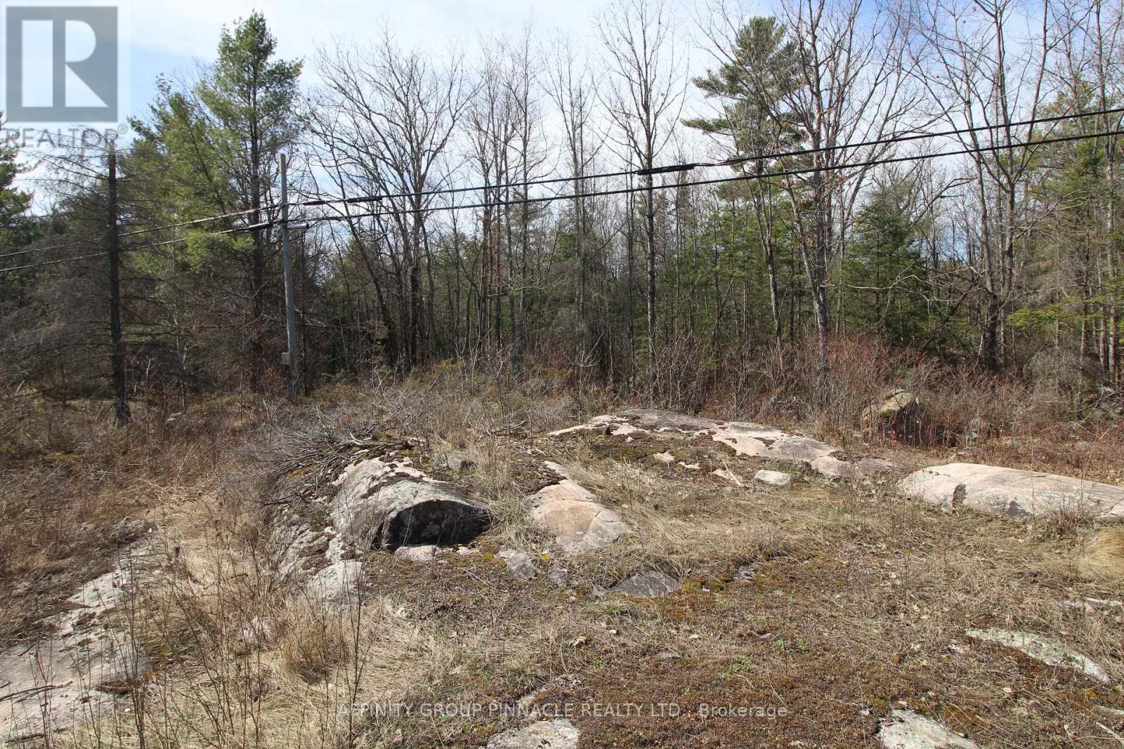 Lot 15 Concession 9, Galway-Cavendish And Harvey, Ontario  K0L 1J0 - Photo 2 - X8221332