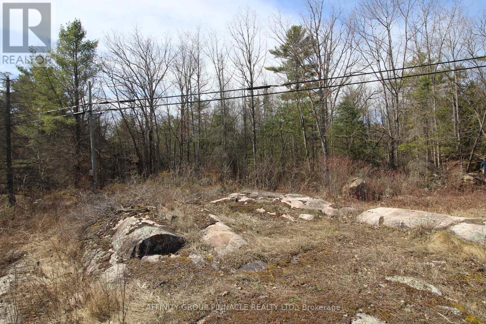 Lot 15 Concession 9, Galway-Cavendish And Harvey, Ontario  K0L 1J0 - Photo 3 - X8221332
