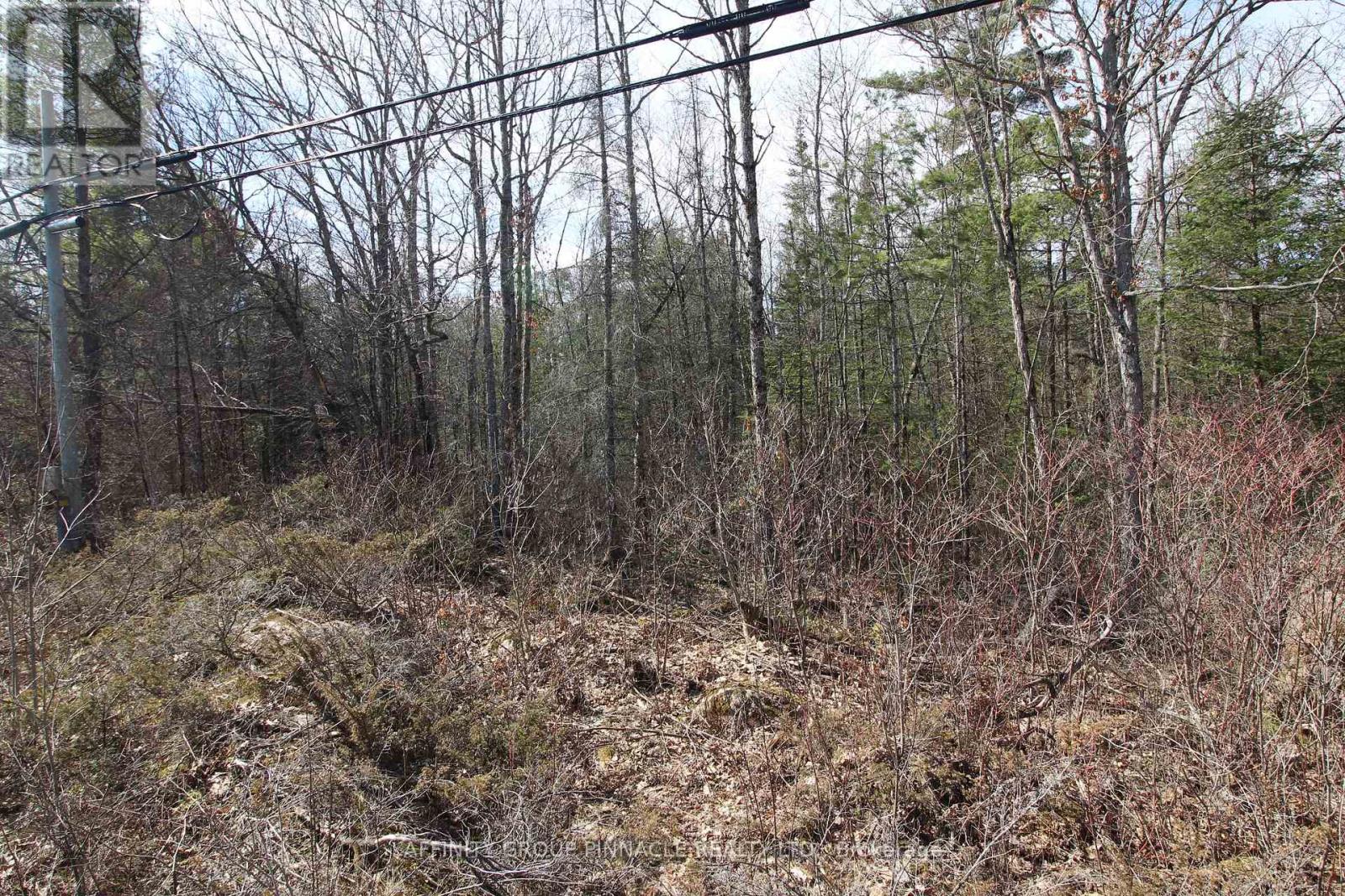 Lot 15 Concession 9, Galway-Cavendish And Harvey, Ontario  K0L 1J0 - Photo 5 - X8221332