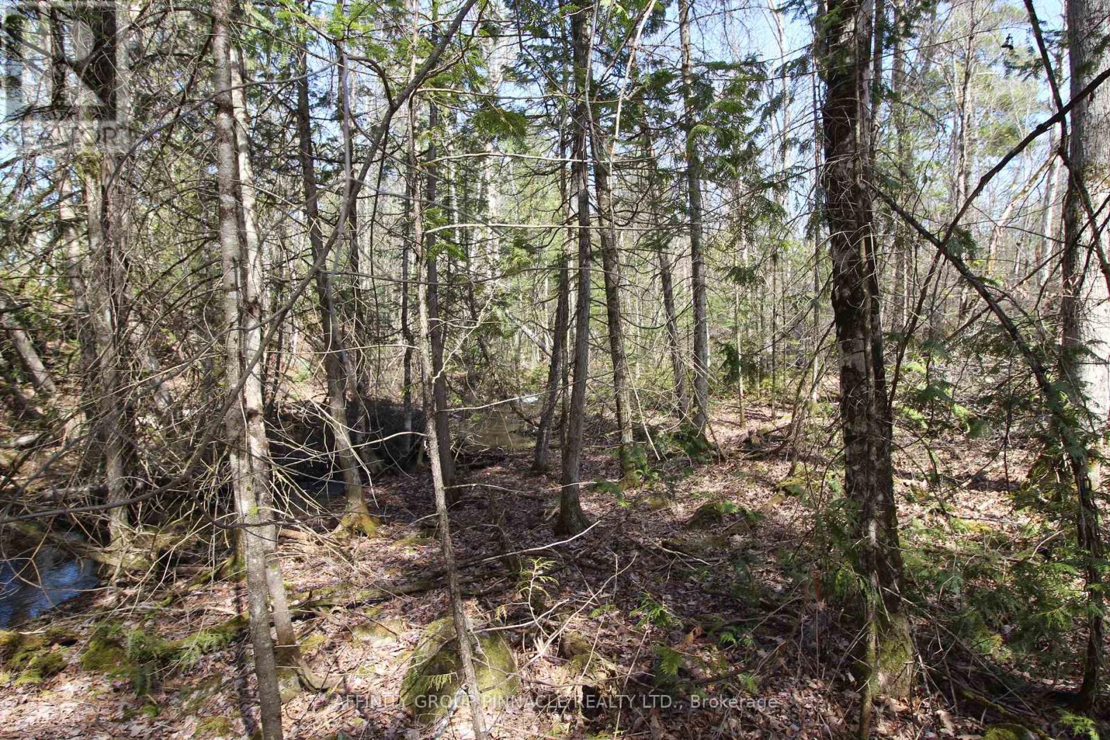 Lot 15 Concession 9, Galway-Cavendish And Harvey, Ontario  K0L 1J0 - Photo 6 - X8221332