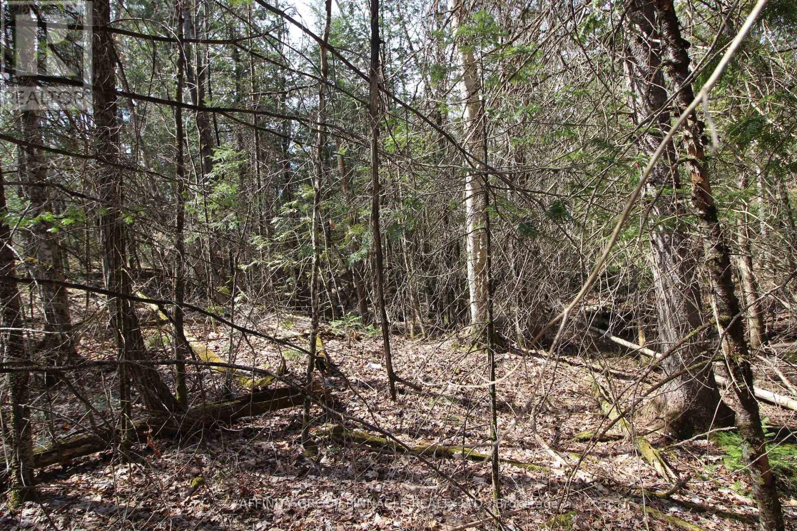 Lot 15 Concession 9, Galway-Cavendish And Harvey, Ontario  K0L 1J0 - Photo 7 - X8221332