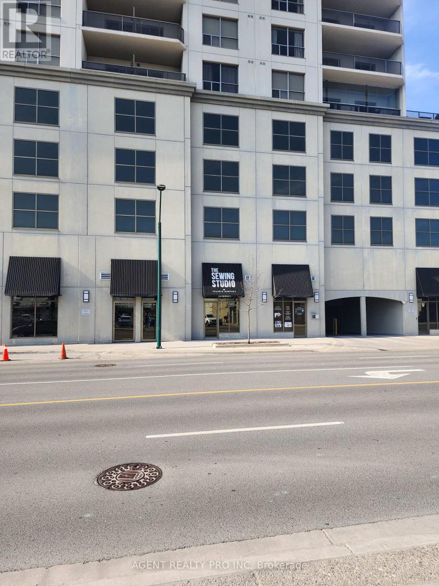 #102a -330 Ridout St N, London, Ontario  N6A 0A7 - Photo 22 - X8221162