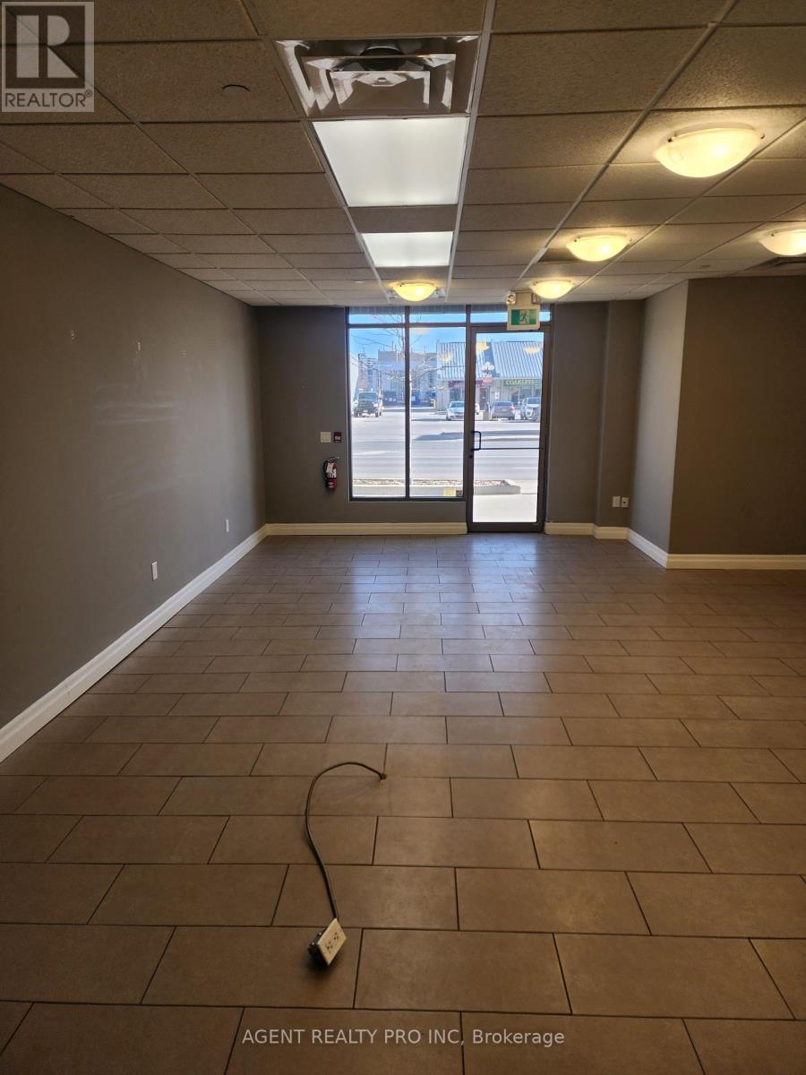 #102a -330 Ridout St N, London, Ontario  N6A 0A7 - Photo 6 - X8221162