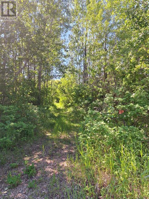 Twp Rd 665a Range Road 153, Rural Lac La Biche County, Alberta  T0A 2C2 - Photo 3 - A2121958