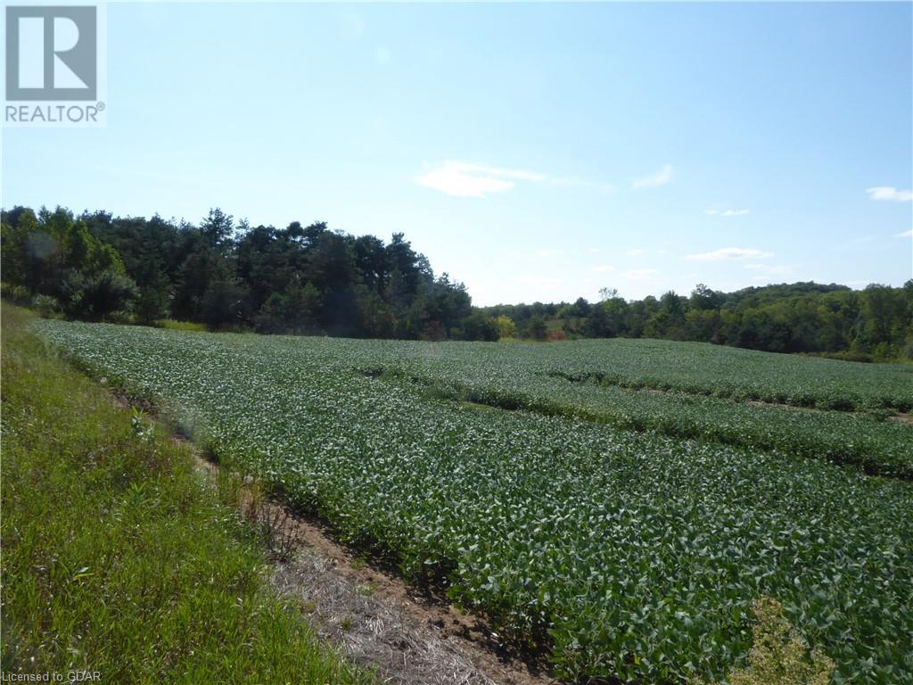 Lot 29 Mount Hope Road, Palgrave, Ontario  L7B 1A6 - Photo 7 - 40563625