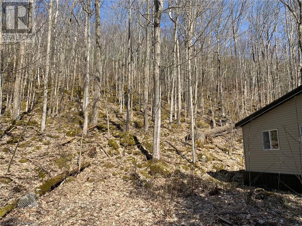 13 4th Avenue, South Bruce Peninsula, Ontario  N0H 2T0 - Photo 18 - 40555112