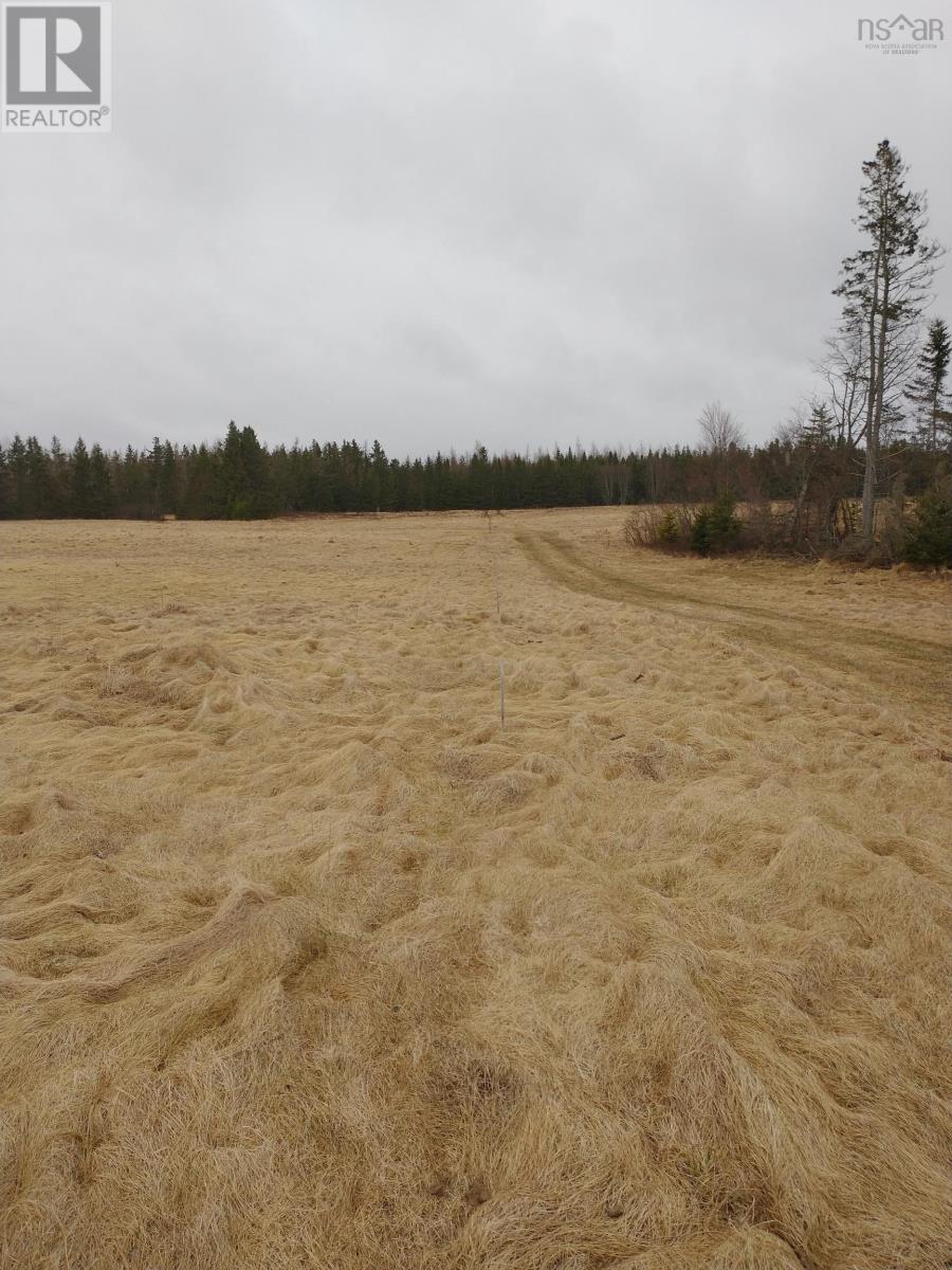 7169 Highway 2, Portapique, Nova Scotia  B0M 1B0 - Photo 1 - 202406815