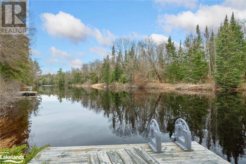 150 Balsam Chutes Road, Port Sydney, Ontario  P0B 1L0 - Photo 3 - 40569221