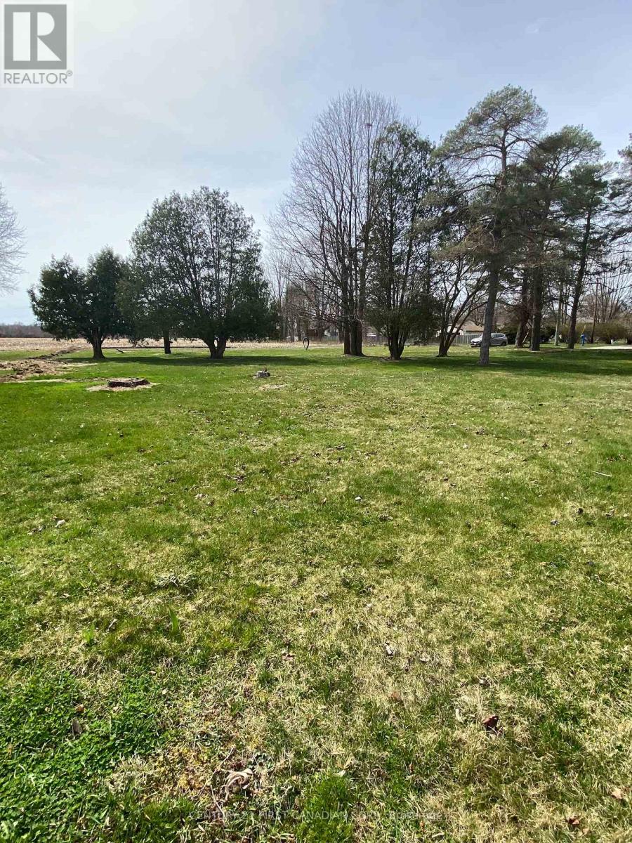 25263 Marsh Line W, West Elgin, Ontario  N0L 2P0 - Photo 3 - X8224874