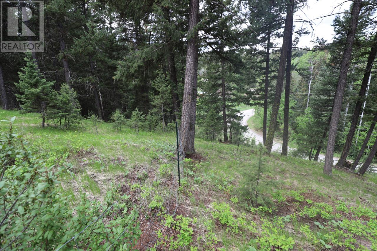 4472 Iron Mountain Road, Merritt, British Columbia  V1K 1B8 - Photo 59 - 177729