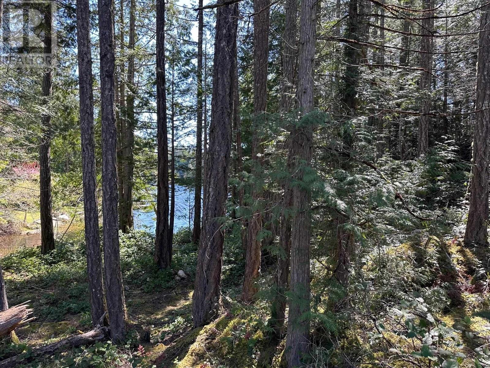 Lot 7 Beaumont Road, Pender Harbour, British Columbia  V0N 1S1 - Photo 4 - R2869526