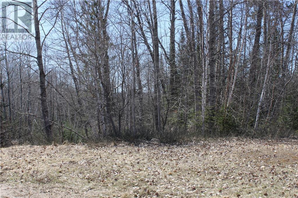 005 Arena Road, Barry's Bay, Ontario  K0J 1B0 - Photo 4 - 1381742