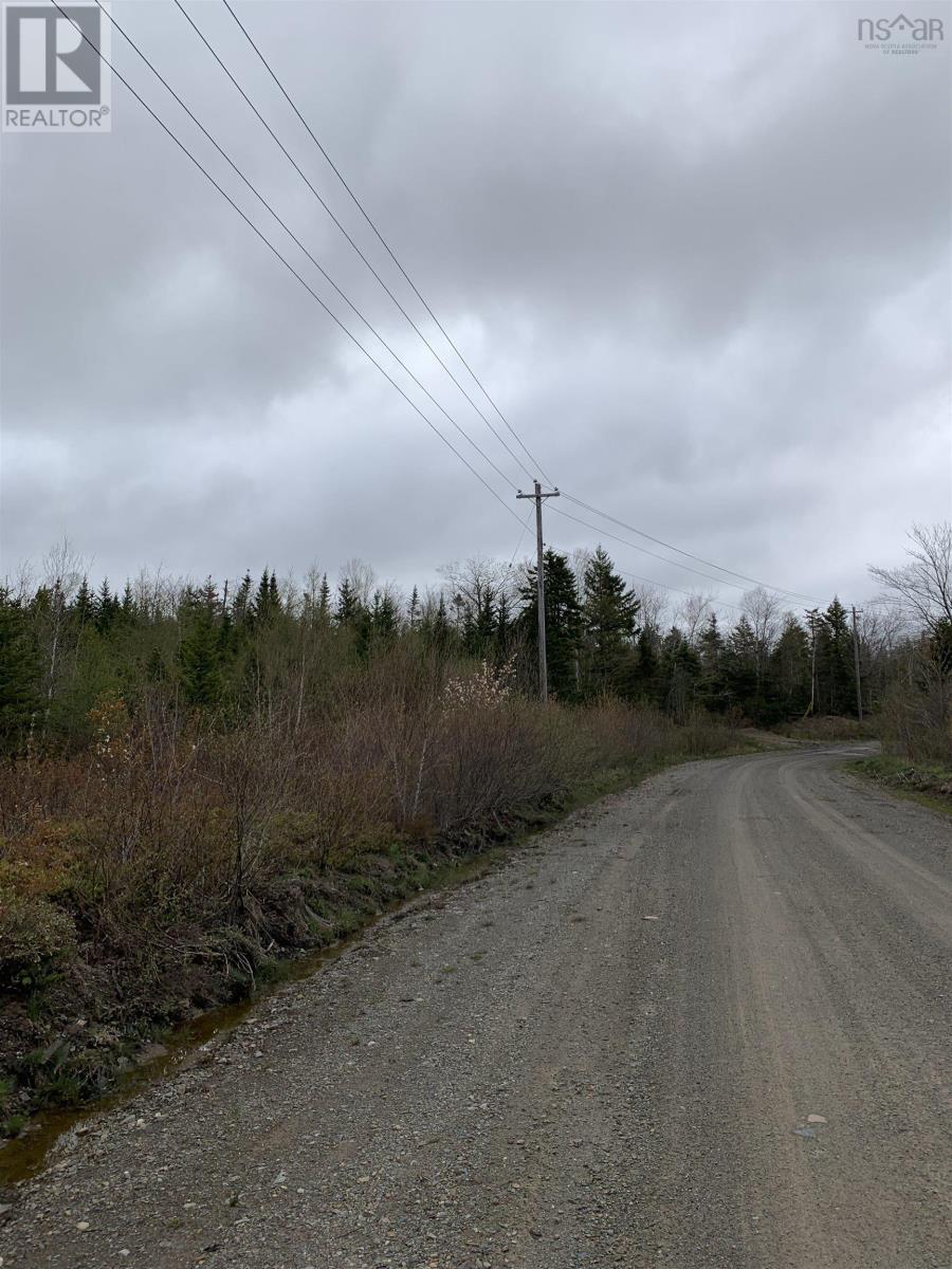 Acreage Caribou Mines Road, Caribou Mines, Nova Scotia  B0J 3B0 - Photo 3 - 202406881