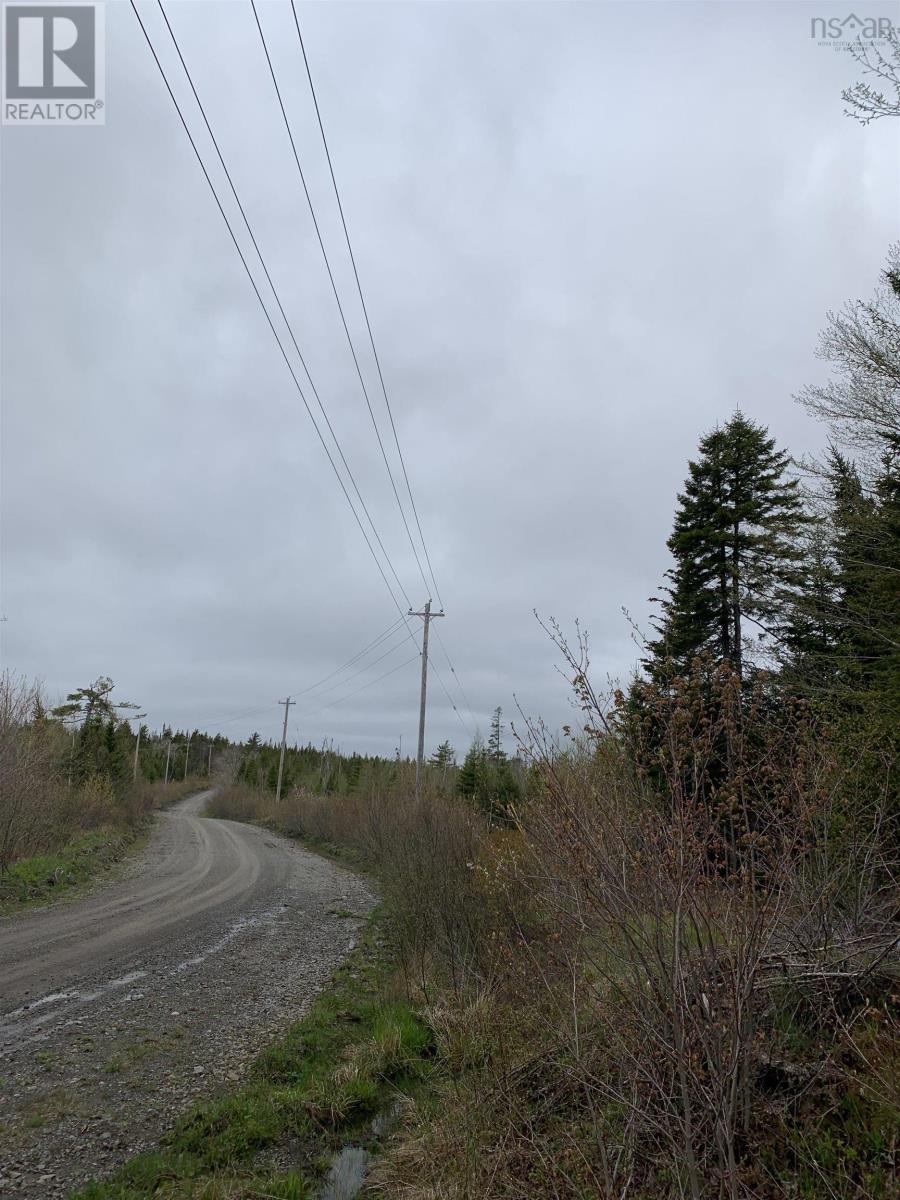 Acreage Caribou Mines Road, Caribou Mines, Nova Scotia  B0J 3B0 - Photo 9 - 202406881