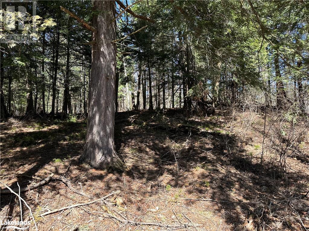 0 Vowels Farm Road, Mcdougall, Ontario  P2A 2W7 - Photo 12 - 40570283