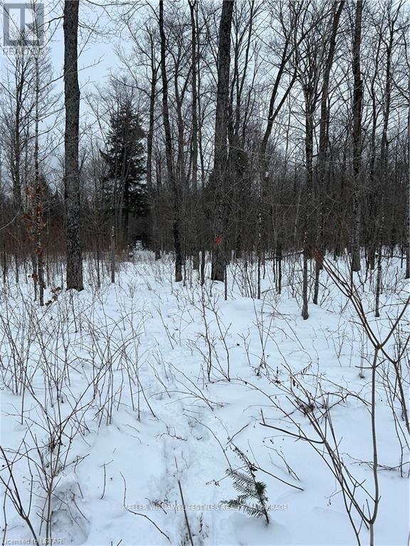 3654 Alsace Rd, Nipissing, Ontario  P0H 1W0 - Photo 17 - X8226790