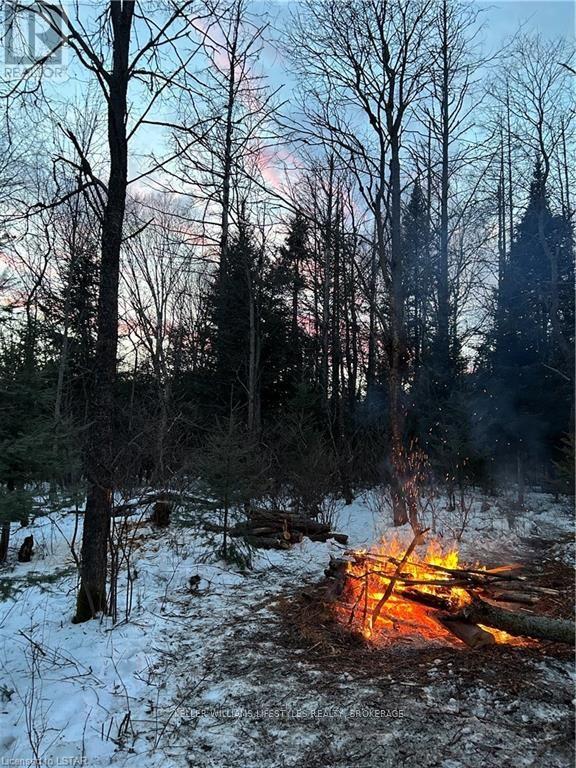 3654 Alsace Rd, Nipissing, Ontario  P0H 1W0 - Photo 20 - X8226790