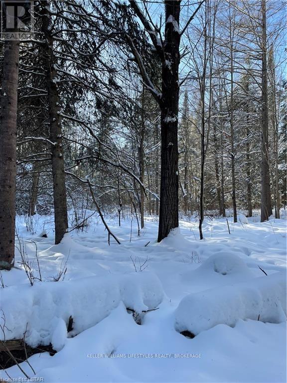 3654 Alsace Rd, Nipissing, Ontario  P0H 1W0 - Photo 22 - X8226790