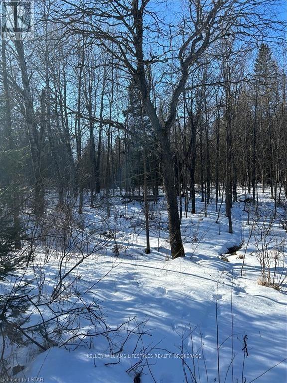 3654 Alsace Rd, Nipissing, Ontario  P0H 1W0 - Photo 6 - X8226790