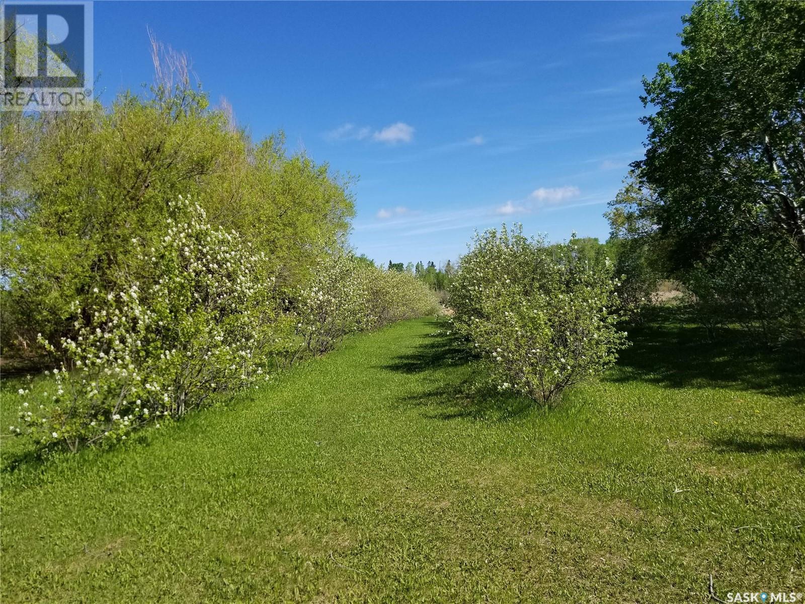 Mcleod Saskatoon Berry Acres, Hudson Bay Rm No. 394, Saskatchewan  S0E 0Y0 - Photo 6 - SK965675