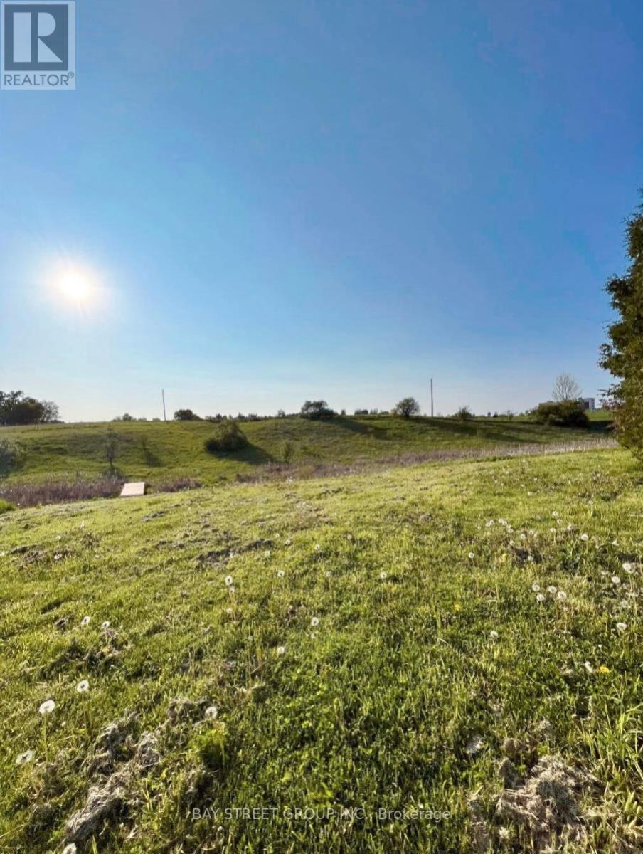 2878 10th Sideroad, Bradford West Gwillimbury, Ontario  L3Z 2L3 - Photo 20 - N8227666