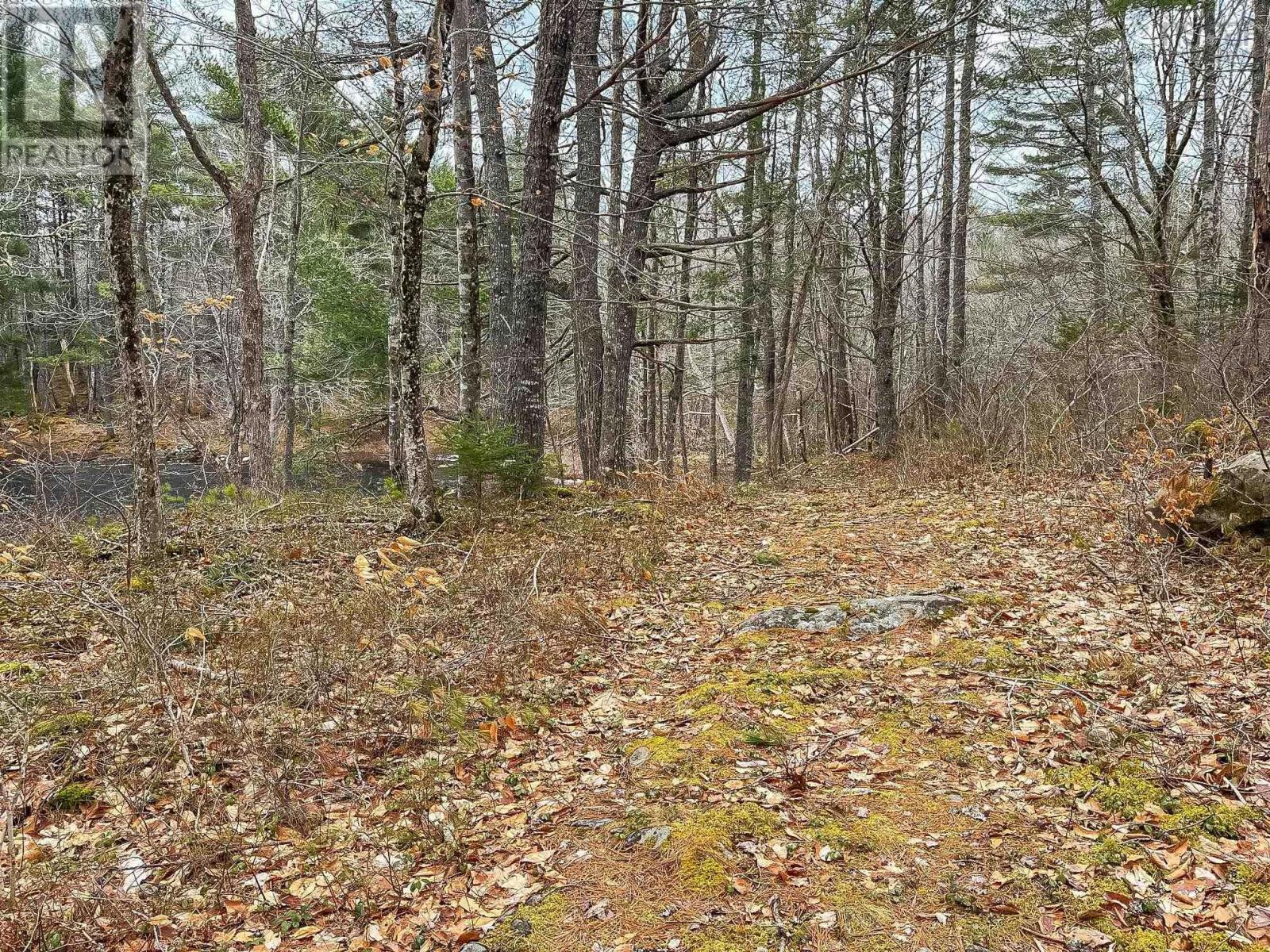 Lots 1 & 2 Labelle Road, Molega, Nova Scotia  B0T 1E0 - Photo 11 - 202406939