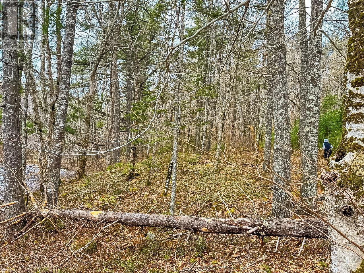 Lots 1 & 2 Labelle Road, Molega, Nova Scotia  B0T 1E0 - Photo 12 - 202406939