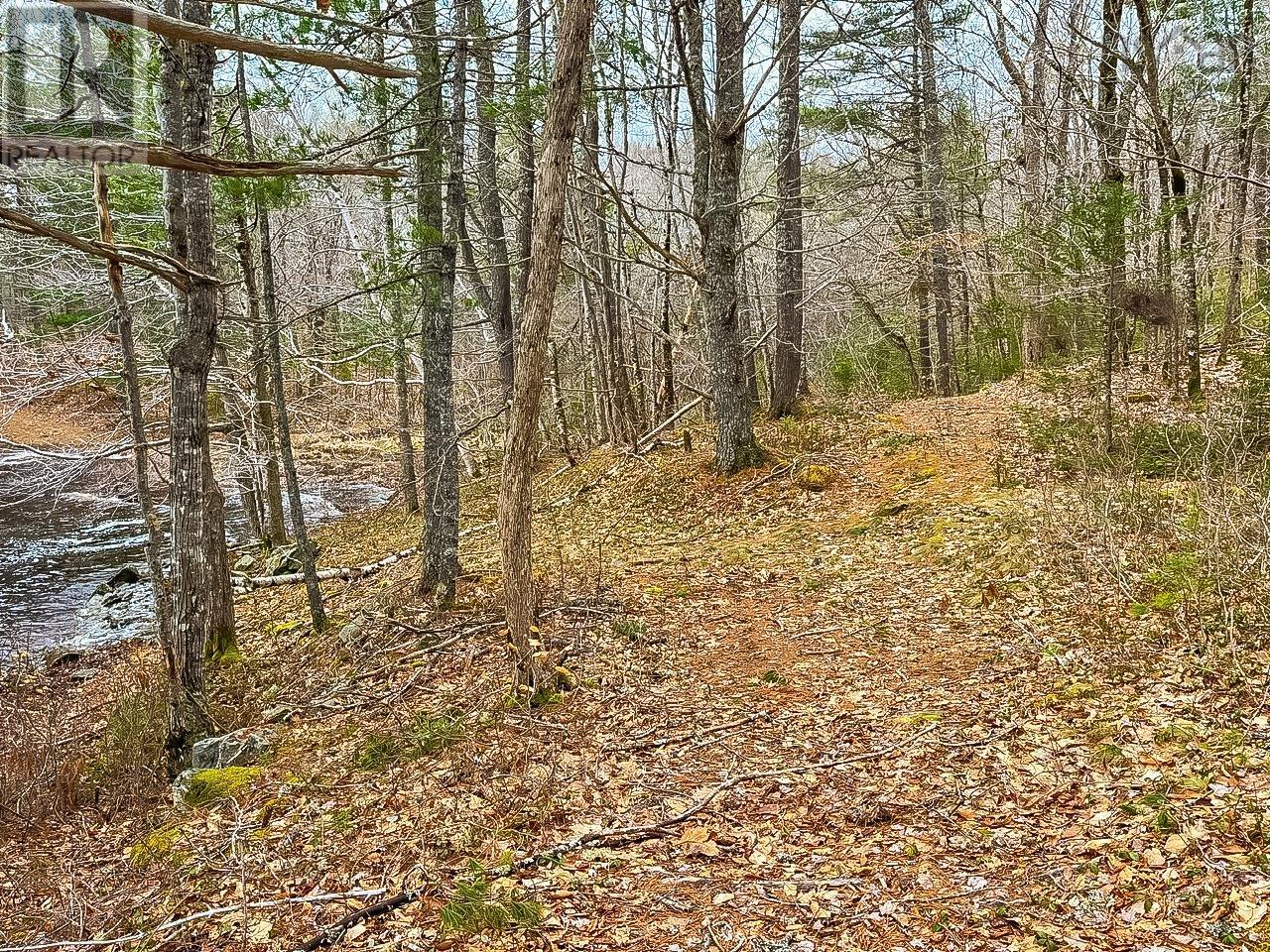 Lots 1 & 2 Labelle Road, Molega, Nova Scotia  B0T 1E0 - Photo 13 - 202406939