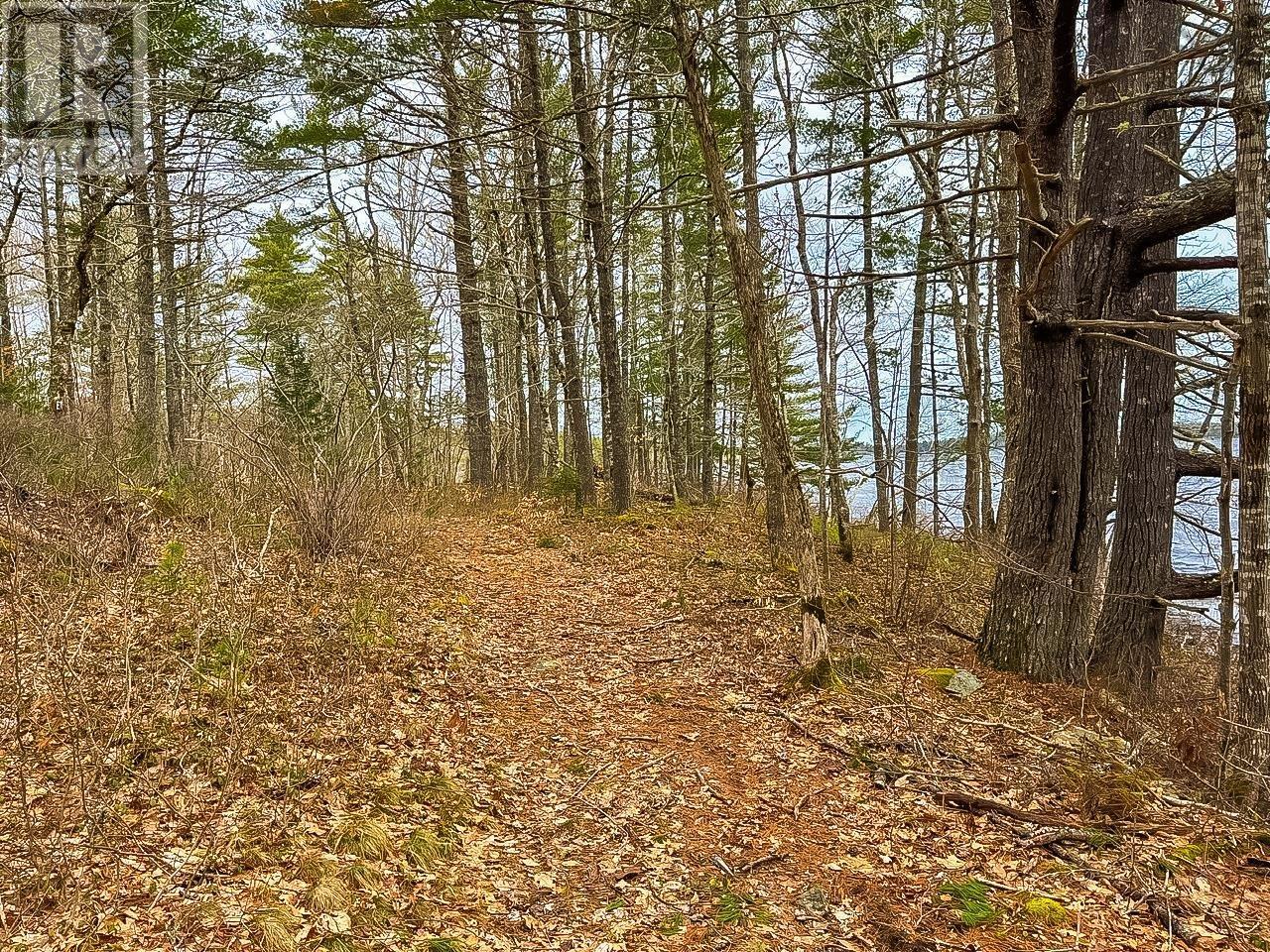 Lots 1 & 2 Labelle Road, Molega, Nova Scotia  B0T 1E0 - Photo 14 - 202406939