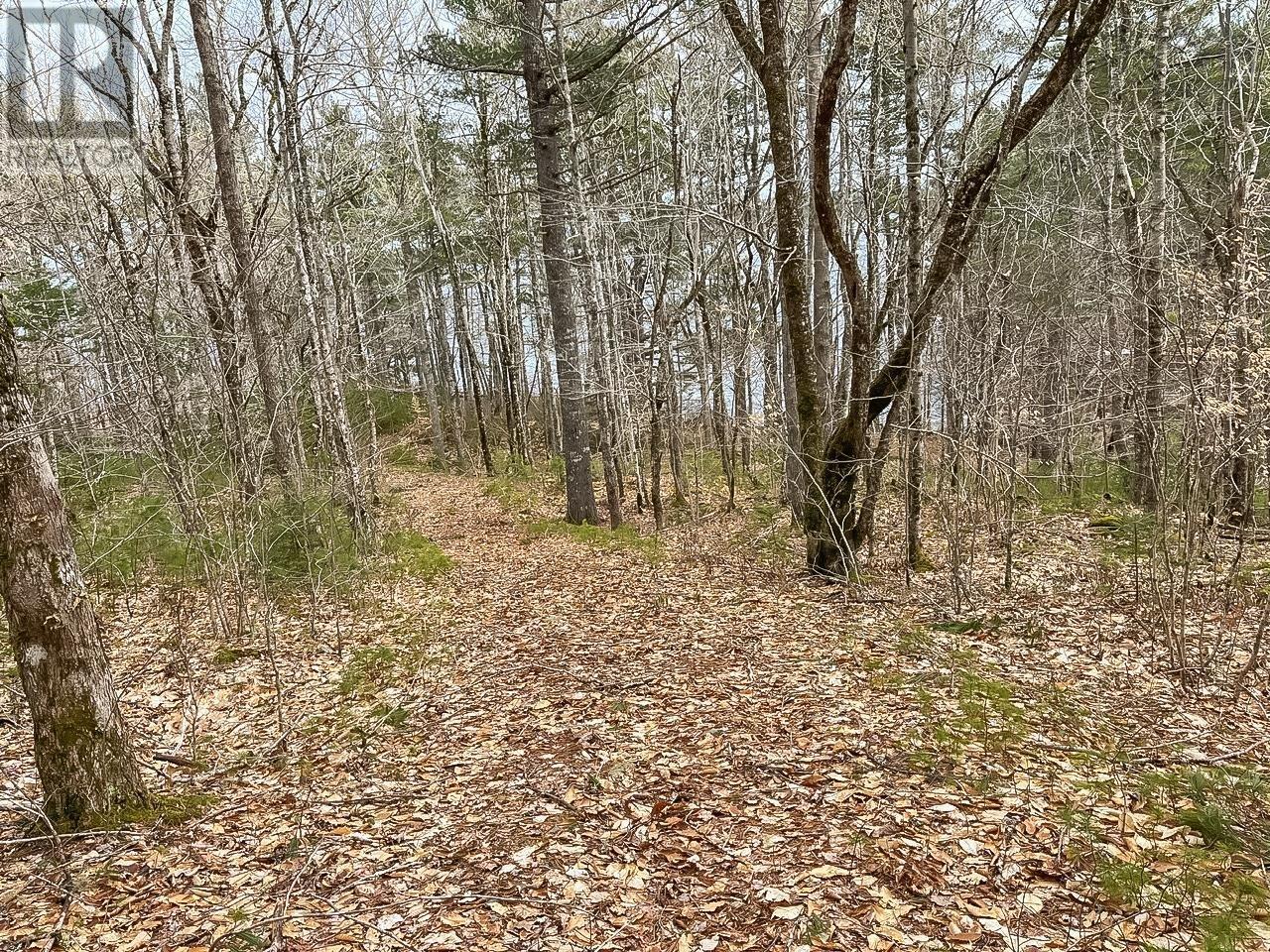 Lots 1 & 2 Labelle Road, Molega, Nova Scotia  B0T 1E0 - Photo 15 - 202406939
