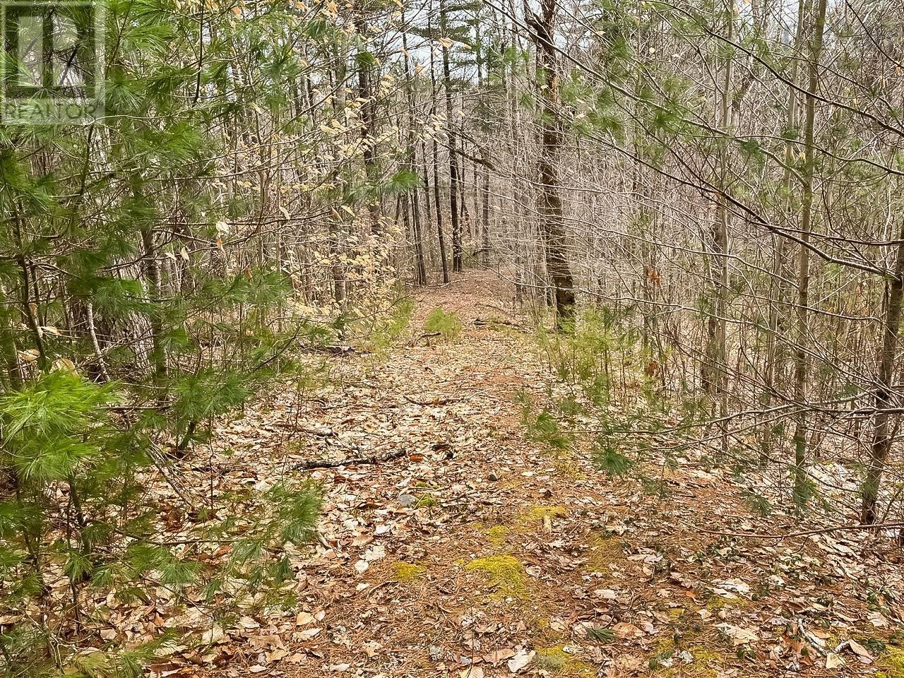 Lots 1 & 2 Labelle Road, Molega, Nova Scotia  B0T 1E0 - Photo 4 - 202406939