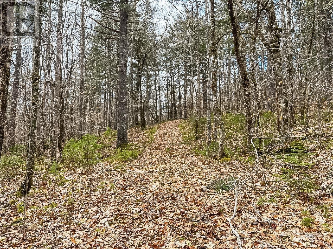 Lots 1 & 2 Labelle Road, Molega, Nova Scotia  B0T 1E0 - Photo 5 - 202406939