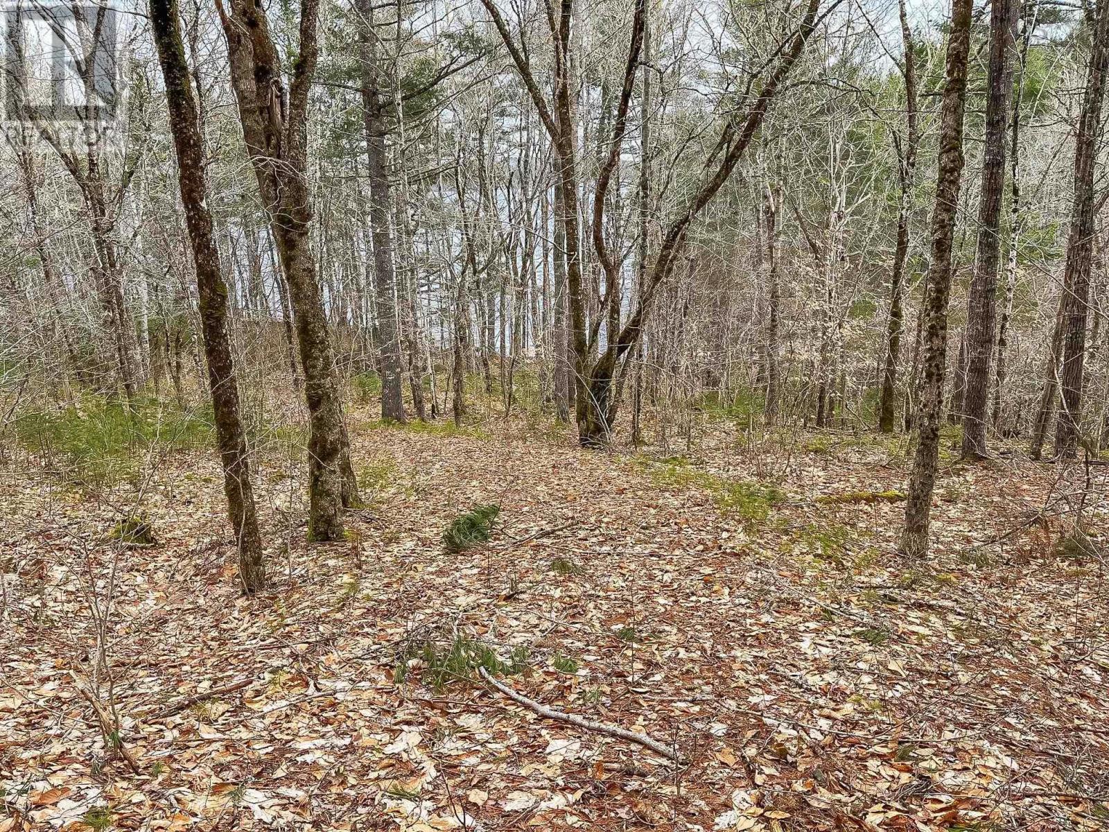 Lots 1 & 2 Labelle Road, Molega, Nova Scotia  B0T 1E0 - Photo 8 - 202406939