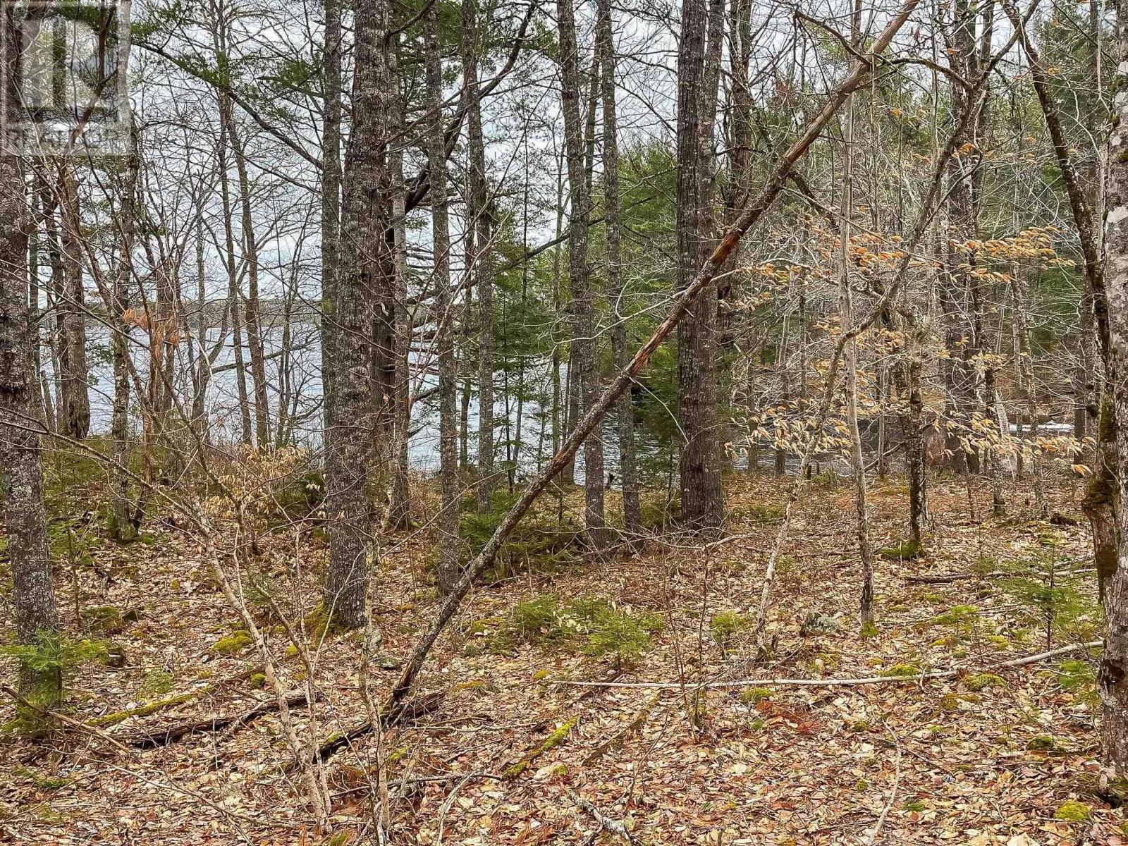 Lots 1 & 2 Labelle Road, Molega, Nova Scotia  B0T 1E0 - Photo 9 - 202406939