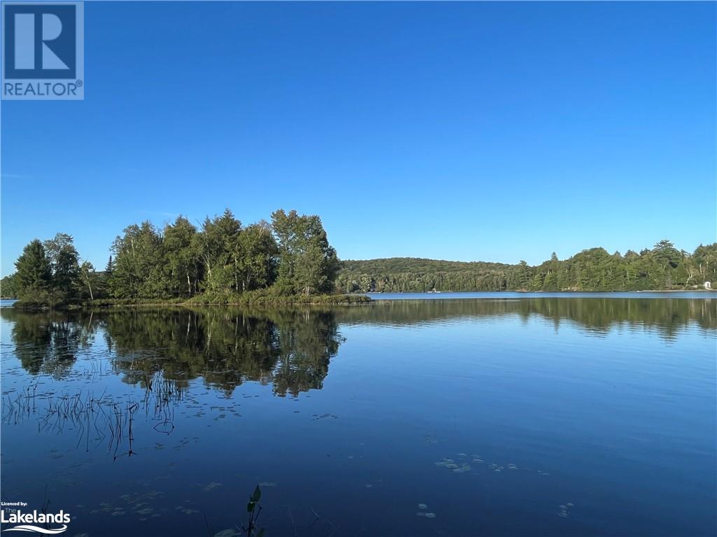 289 West Fox Lake Road, Huntsville, Ontario  P1H 2J2 - Photo 47 - 40569735